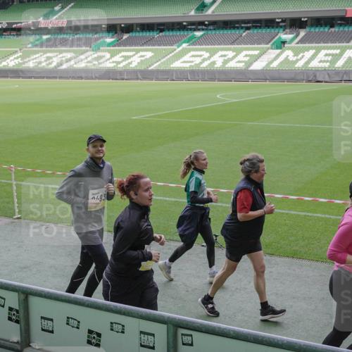 05.10.2025 - 20. swb-Marathon Bremen Michael Burmester http://msf.ph/oto/9255397 05.10.2025 10:43:22 Laufen im Stadion 9185, 9288, 9380, 9476, 9493, 9526, 9561, 9664, 9675, 9726, 9731, 9732, 9734, 9736, 9760, 9784, 9806, 9822, 9823, 9826, 9848, 9861, 9867, 9895, 9912, 10074, 10146, 10183, 10288, 10315, 10316, 10320, 10399, 10433, 10435, 10491, 10512, 10515, 10552, 10596, 10849, 10861, 10962, 10969, 11030, 11073, 11083, 11113, 11157, 11161, 11170, 11215, 11240, 11242, 11285, 11331, 11404, 11536, 8225, 9212, 9276, 9481, 9945, 9972 meine-sportfotos.de