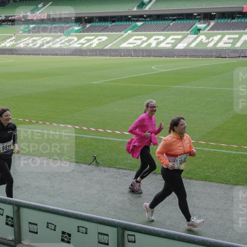 05.10.2025 - 20. swb-Marathon Bremen Michael Burmester http://msf.ph/oto/9256048 05.10.2025 10:43:50 Laufen im Stadion 9011, 9273, 9373, 9374, 9380, 9386, 9453, 9470, 9561, 9724, 9819, 9848, 9867, 9895, 9911, 9984, 10036, 10040, 10183, 10280, 10288, 10315, 10320, 10399, 10433, 10435, 10440, 10441, 10442, 10448, 10491, 10512, 10515, 10540, 10552, 10574, 10596, 10705, 10707, 10831, 10839, 10849, 11027, 11088, 11113, 11135, 11191, 11204, 11285, 11331, 11345, 11381, 11388, 11404, 11536, 11539, 11548, 9493, 9526, 9675, 9731, 9732, 9784, 10316, 10433, 10962 meine-sportfotos.de