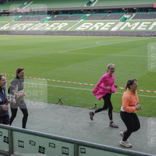05.10.2025 - 20. swb-Marathon Bremen Michael Burmester http://msf.ph/oto/9256064 05.10.2025 10:43:50 Laufen im Stadion 9011, 9273, 9373, 9374, 9380, 9386, 9453, 9470, 9561, 9724, 9819, 9848, 9867, 9895, 9911, 9984, 10036, 10040, 10183, 10280, 10288, 10315, 10320, 10399, 10433, 10435, 10440, 10441, 10442, 10448, 10491, 10512, 10515, 10540, 10552, 10574, 10596, 10705, 10707, 10831, 10839, 10849, 11027, 11088, 11113, 11135, 11191, 11204, 11285, 11331, 11345, 11381, 11388, 11404, 11536, 11539, 11548, 9493, 9526, 9675, 9731, 9732, 9784, 10316, 10433, 10962 meine-sportfotos.de