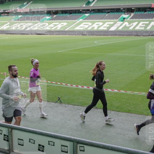 05.10.2025 - 20. swb-Marathon Bremen Michael Burmester http://msf.ph/oto/9256394 05.10.2025 10:44:10 Laufen im Stadion 7007, 8844, 9011, 9273, 9303, 9373, 9374, 9380, 9386, 9453, 9470, 9479, 9572, 9667, 9724, 9819, 9895, 9911, 9984, 10036, 10040, 10280, 10288, 10320, 10355, 10364, 10440, 10441, 10442, 10448, 10491, 10512, 10540, 10552, 10574, 10665, 10705, 10707, 10831, 10839, 10984, 11027, 11072, 11088, 11135, 11191, 11204, 11252, 11318, 11345, 11381, 11385, 11388, 11448, 11539, 11548, 11560, 11568, 11635, 9561, 9848, 9867, 10183, 10315, 10399, 10433, 10435 meine-sportfotos.de