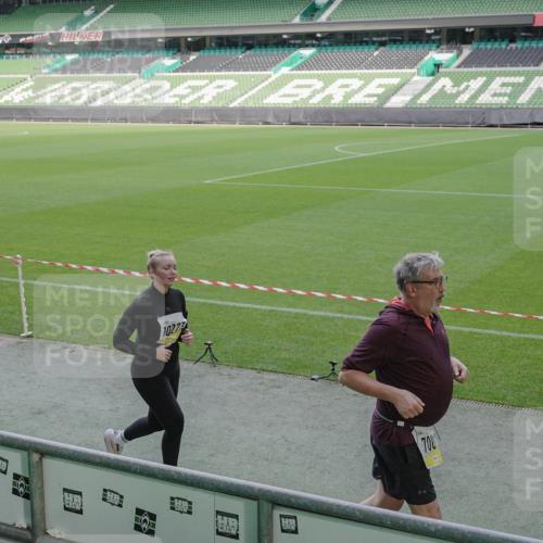 05.10.2025 - 20. swb-Marathon Bremen Michael Burmester http://msf.ph/oto/9257147 05.10.2025 10:44:48 Laufen im Stadion 7007, 7109, 7110, 8476, 8844, 9012, 9242, 9264, 9303, 9342, 9441, 9453, 9479, 9567, 9572, 9631, 9667, 9756, 9767, 9768, 9899, 9948, 9970, 10114, 10115, 10190, 10273, 10282, 10292, 10339, 10340, 10355, 10364, 10379, 10622, 10647, 10665, 10671, 10842, 10846, 10957, 10984, 11060, 11072, 11085, 11117, 11118, 11139, 11252, 11264, 11293, 11318, 11367, 11375, 11378, 11381, 11385, 11407, 11448, 11544, 11557, 11560, 11568, 11635, 9011, 9373, 9374, 9386, 9453, 9470, 10036 meine-sportfotos.de