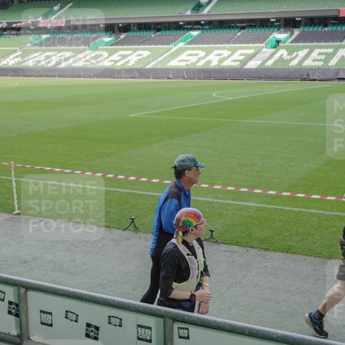 05.10.2025 - 20. swb-Marathon Bremen Michael Burmester http://msf.ph/oto/9257252 05.10.2025 10:44:51 Laufen im Stadion 7007, 7109, 7110, 8476, 8844, 9012, 9242, 9264, 9303, 9342, 9441, 9479, 9567, 9572, 9631, 9667, 9756, 9767, 9768, 9899, 9948, 9970, 10114, 10115, 10190, 10273, 10282, 10292, 10339, 10340, 10355, 10364, 10379, 10622, 10647, 10665, 10671, 10752, 10808, 10842, 10846, 10957, 10984, 11060, 11072, 11085, 11117, 11118, 11139, 11252, 11264, 11293, 11318, 11367, 11375, 11378, 11385, 11407, 11448, 11544, 11557, 11560, 11568, 11635, 9011, 9373, 9374, 9386, 9453, 9470, 11318 meine-sportfotos.de