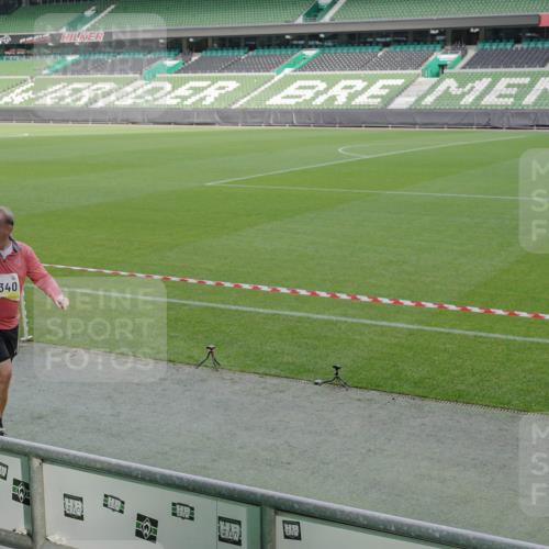 05.10.2025 - 20. swb-Marathon Bremen Michael Burmester http://msf.ph/oto/9257693 05.10.2025 10:45:18 Laufen im Stadion 7109, 7110, 8476, 9203, 9242, 9264, 9342, 9441, 9567, 9756, 9767, 9768, 9899, 9948, 9970, 10000, 10114, 10115, 10186, 10190, 10282, 10292, 10339, 10340, 10379, 10472, 10602, 10622, 10647, 10671, 10728, 10752, 10808, 10842, 10846, 10957, 11060, 11085, 11117, 11118, 11139, 11264, 11293, 11367, 11375, 11378, 11407, 11541, 11557, 7007, 8844, 9012, 9303, 9479, 9572, 9631, 9667, 10273, 10665, 10984, 11072, 11252, 11385, 11448, 11544 meine-sportfotos.de