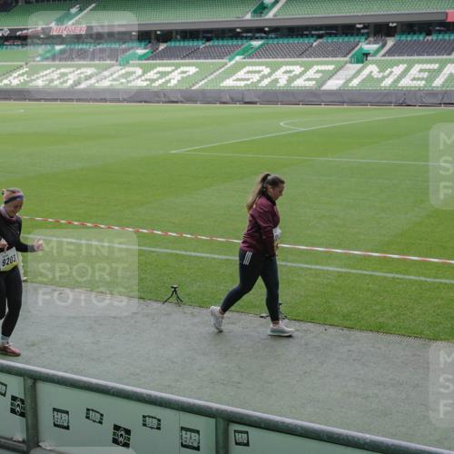 05.10.2025 - 20. swb-Marathon Bremen Michael Burmester http://msf.ph/oto/9258164 05.10.2025 10:45:46 Laufen im Stadion 9203, 9242, 9420, 9465, 9643, 9756, 9838, 10000, 10023, 10083, 10186, 10201, 10220, 10450, 10472, 10496, 10575, 10602, 10671, 10728, 10752, 10759, 10808, 10842, 10976, 11020, 11029, 11036, 11068, 11082, 11332, 11438, 11541, 7109, 7110, 8476, 9242, 9264, 9342, 9441, 9767, 9768, 9948, 9970, 10114, 10115, 10190, 10282, 10292, 10339, 10340, 10379, 10622, 10647, 10846, 10957, 11060, 11085, 11117, 11118, 11139, 11264, 11367, 11375, 11378 meine-sportfotos.de