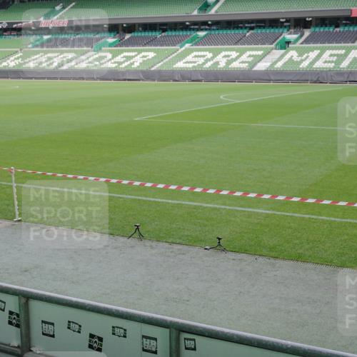 05.10.2025 - 20. swb-Marathon Bremen Michael Burmester http://msf.ph/oto/9258207 05.10.2025 10:45:49 Laufen im Stadion 7410, 9203, 9420, 9465, 9643, 9838, 9869, 10000, 10023, 10083, 10186, 10201, 10220, 10312, 10450, 10465, 10472, 10496, 10575, 10602, 10728, 10752, 10759, 10808, 10949, 10976, 11020, 11029, 11036, 11068, 11082, 11332, 11438, 11541, 7109, 7110, 8476, 9242, 9264, 9342, 9441, 9756, 9767, 9768, 9948, 10114, 10115, 10190, 10282, 10292, 10339, 10340, 10379, 10622, 10647, 10671, 10752, 10808, 10842, 10846, 10957, 11085, 11117, 11118, 11139, 11264, 11367, 11375, 11378 meine-sportfotos.de