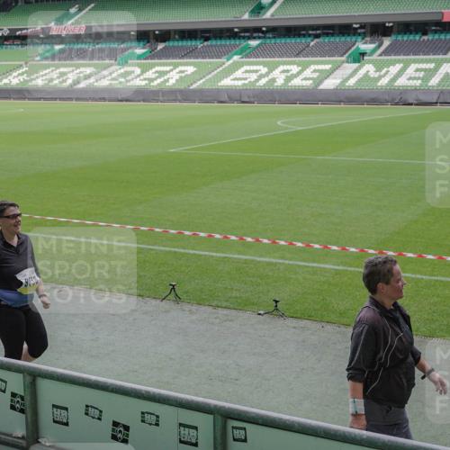 05.10.2025 - 20. swb-Marathon Bremen Michael Burmester http://msf.ph/oto/9258427 05.10.2025 10:46:02 Laufen im Stadion 7014, 7410, 9203, 9301, 9420, 9465, 9643, 9838, 9869, 10023, 10083, 10186, 10201, 10220, 10312, 10450, 10465, 10472, 10496, 10564, 10575, 10602, 10728, 10736, 10759, 10949, 10976, 11008, 11020, 11029, 11036, 11068, 11082, 11107, 11182, 11332, 11358, 11438, 7109, 7110, 8476, 9242, 9441, 9756, 10000, 10282, 10292, 10671, 10752, 10808, 10842, 10957, 11264, 11375, 11541 meine-sportfotos.de
