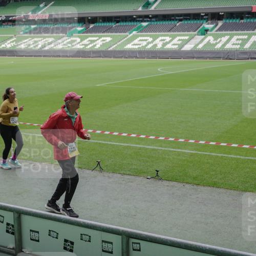 05.10.2025 - 20. swb-Marathon Bremen Michael Burmester http://msf.ph/oto/9258662 05.10.2025 10:46:17 Laufen im Stadion 7014, 7410, 9301, 9420, 9465, 9643, 9695, 9818, 9838, 9869, 9891, 9959, 10023, 10083, 10201, 10220, 10312, 10450, 10465, 10496, 10564, 10575, 10602, 10721, 10736, 10756, 10759, 10832, 10949, 10976, 10994, 11008, 11020, 11029, 11036, 11068, 11082, 11107, 11182, 11332, 11358, 11438, 11555, 11652, 9203, 10000, 10186, 10472, 10602, 10728, 11541 meine-sportfotos.de