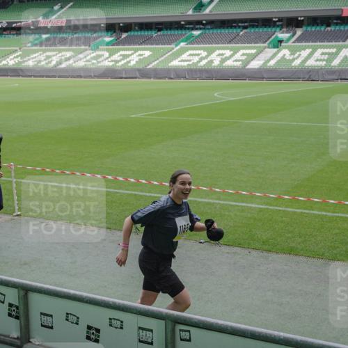 05.10.2025 - 20. swb-Marathon Bremen Michael Burmester http://msf.ph/oto/9259165 05.10.2025 10:46:46 Laufen im Stadion 7014, 7410, 9301, 9640, 9695, 9818, 9869, 9891, 9959, 10312, 10465, 10564, 10635, 10721, 10736, 10756, 10832, 10949, 10994, 11008, 11043, 11107, 11182, 11247, 11358, 11440, 11555, 11652, 11653, 9420, 9465, 9643, 9838, 10023, 10083, 10220, 10450, 10496, 10575, 10759, 10976, 11036, 11082, 11332, 11438 meine-sportfotos.de