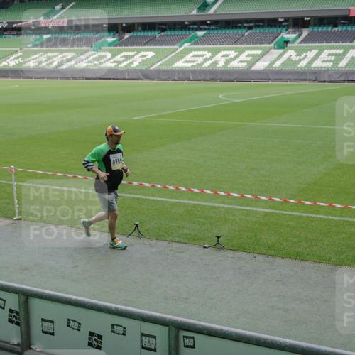 05.10.2025 - 20. swb-Marathon Bremen Michael Burmester http://msf.ph/oto/9259209 05.10.2025 10:46:49 Laufen im Stadion 7014, 7410, 9301, 9640, 9695, 9818, 9891, 9959, 10564, 10635, 10721, 10736, 10756, 10832, 10949, 10994, 11008, 11043, 11107, 11182, 11247, 11358, 11440, 11555, 11652, 11653, 7410, 9420, 9465, 9869, 10023, 10083, 10220, 10312, 10450, 10465, 10575, 10759, 10949, 11036, 11082, 11332, 11438 meine-sportfotos.de