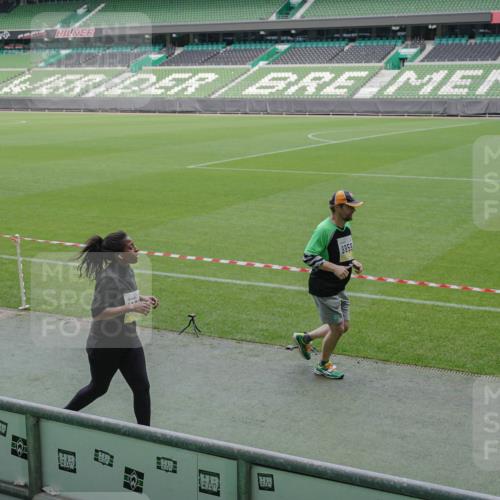 05.10.2025 - 20. swb-Marathon Bremen Michael Burmester http://msf.ph/oto/9259240 05.10.2025 10:46:50 Laufen im Stadion 7014, 9301, 9640, 9695, 9818, 9891, 9959, 10564, 10635, 10721, 10736, 10756, 10832, 10994, 11008, 11043, 11107, 11182, 11247, 11358, 11440, 11555, 11652, 11653, 7014, 7410, 9420, 9465, 9869, 10023, 10083, 10220, 10312, 10450, 10465, 10575, 10759, 10949, 11082, 11438 meine-sportfotos.de