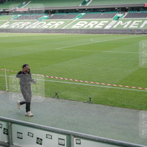 05.10.2025 - 20. swb-Marathon Bremen Michael Burmester http://msf.ph/oto/9259423 05.10.2025 10:47:39 Laufen im Stadion 9323, 9348, 9477, 9563, 9679, 9691, 9705, 9805, 9946, 10012, 10041, 10198, 10677, 11043, 9640, 10635, 11247, 11440, 11653 meine-sportfotos.de