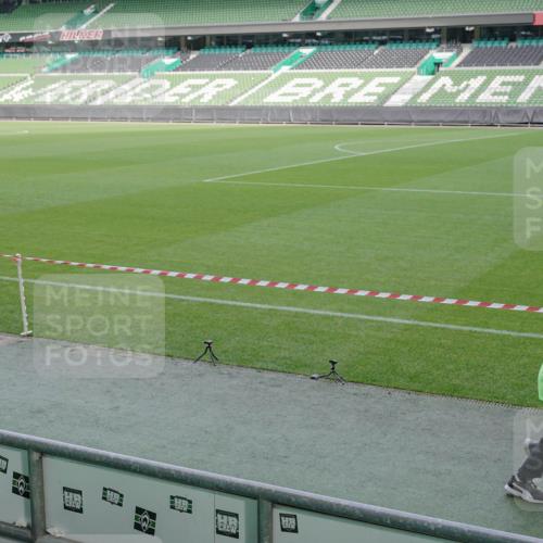 05.10.2025 - 20. swb-Marathon Bremen Michael Burmester http://msf.ph/oto/9259648 05.10.2025 10:48:33 Laufen im Stadion 9408, 9563, 9679, 9698, 9705, 10012, 10076, 10361, 10362, 10613, 10795, 10874, 10913, 11109, 11480, 11631, 11690, 11743, 9323, 9348, 9477, 9805, 10198 meine-sportfotos.de