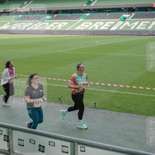 05.10.2025 - 20. swb-Marathon Bremen Michael Burmester http://msf.ph/oto/9259740 05.10.2025 10:48:39 Laufen im Stadion 9408, 9698, 9705, 9753, 10076, 10361, 10362, 10613, 10795, 10874, 10913, 11109, 11216, 11480, 11631, 11690, 11743, 9323, 9348, 9477, 9563, 9679, 9705, 9805, 10012, 10198 meine-sportfotos.de