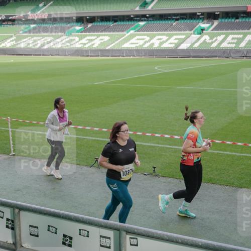 05.10.2025 - 20. swb-Marathon Bremen Michael Burmester http://msf.ph/oto/9259767 05.10.2025 10:48:39 Laufen im Stadion 9408, 9698, 9705, 9753, 10076, 10361, 10362, 10613, 10795, 10874, 10913, 11109, 11216, 11480, 11631, 11690, 11743, 9323, 9348, 9477, 9563, 9679, 9705, 9805, 10012, 10198 meine-sportfotos.de