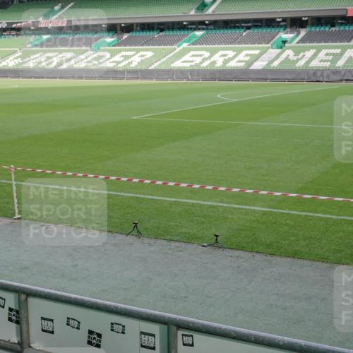 05.10.2025 - 20. swb-Marathon Bremen Michael Burmester http://msf.ph/oto/9259888 05.10.2025 10:48:57 Laufen im Stadion 9247, 9408, 9513, 9688, 9753, 10076, 10361, 10362, 10488, 10613, 10795, 10874, 10913, 11109, 11216, 11480, 11625, 11631, 11690, 11743, 9698, 9705, 10012 meine-sportfotos.de