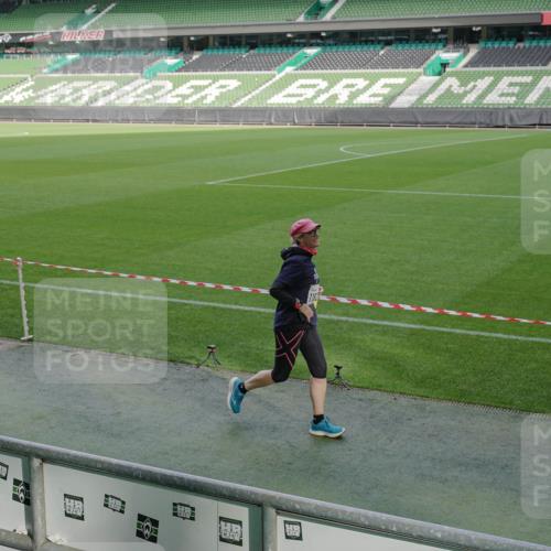 05.10.2025 - 20. swb-Marathon Bremen Michael Burmester http://msf.ph/oto/9259962 05.10.2025 10:49:23 Laufen im Stadion 9247, 9405, 9513, 9688, 9753, 10072, 10133, 10488, 10700, 10720, 11216, 11625, 11643, 10361, 10362, 11109, 11480 meine-sportfotos.de