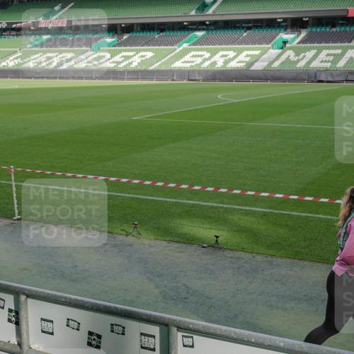 05.10.2025 - 20. swb-Marathon Bremen Michael Burmester http://msf.ph/oto/9260030 05.10.2025 10:49:32 Laufen im Stadion 9247, 9405, 9445, 9513, 9688, 9753, 9857, 10072, 10133, 10184, 10488, 10700, 10720, 10731, 11190, 11216, 11625, 11643, 10361, 10362, 11109, 11480 meine-sportfotos.de