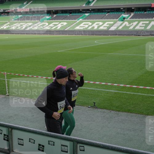 05.10.2025 - 20. swb-Marathon Bremen Michael Burmester http://msf.ph/oto/9260104 05.10.2025 10:49:42 Laufen im Stadion 9247, 9405, 9445, 9513, 9688, 9733, 9808, 9857, 10072, 10133, 10184, 10373, 10488, 10700, 10720, 10724, 10731, 11190, 11625, 11643, 9753, 11216 meine-sportfotos.de