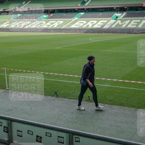 05.10.2025 - 20. swb-Marathon Bremen Michael Burmester http://msf.ph/oto/9260353 05.10.2025 10:50:25 Laufen im Stadion 9445, 9733, 9808, 9857, 10035, 10096, 10184, 10373, 10724, 10731, 11190, 10072, 10133, 10184, 10700 meine-sportfotos.de