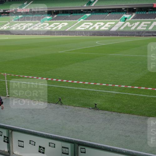 05.10.2025 - 20. swb-Marathon Bremen Michael Burmester http://msf.ph/oto/9260408 05.10.2025 10:50:32 Laufen im Stadion 9733, 9808, 10035, 10096, 10373, 10724, 9445, 9857, 10072, 10133, 10184, 10700, 10731, 11190 meine-sportfotos.de