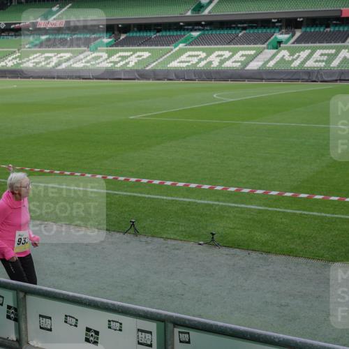 05.10.2025 - 20. swb-Marathon Bremen Michael Burmester http://msf.ph/oto/9260477 05.10.2025 10:51:35 Laufen im Stadion 9338, 9763, 9840, 9941, 11313, 11314, 11698, 9941 meine-sportfotos.de