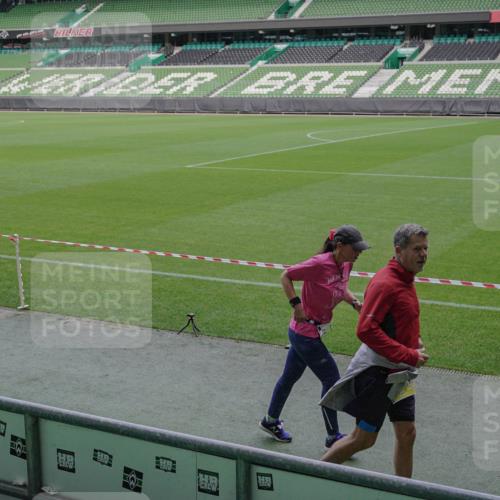 05.10.2025 - 20. swb-Marathon Bremen Michael Burmester http://msf.ph/oto/9260608 05.10.2025 10:52:26 Laufen im Stadion 10144, 10300, 10774, 10935, 11572, 11697, 11698, 9763, 11313, 11314 meine-sportfotos.de