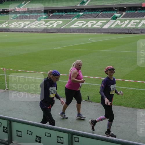 05.10.2025 - 20. swb-Marathon Bremen Michael Burmester http://msf.ph/oto/9260674 05.10.2025 10:52:33 Laufen im Stadion 9559, 10027, 10144, 10300, 10774, 10935, 11572, 11697, 11698, 9763, 11313, 11314 meine-sportfotos.de