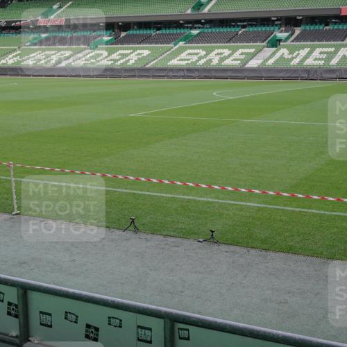 05.10.2025 - 20. swb-Marathon Bremen Michael Burmester http://msf.ph/oto/9260882 05.10.2025 10:55:00 Laufen im Stadion 7174, 9257, 10401, 10482, 10153 meine-sportfotos.de