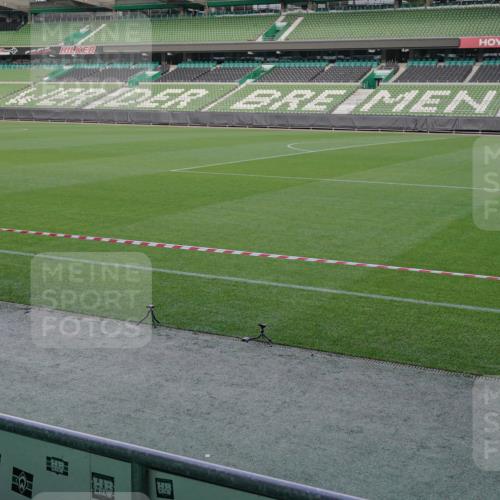 05.10.2025 - 20. swb-Marathon Bremen Michael Burmester http://msf.ph/oto/9261160 05.10.2025 10:59:37 Laufen im Stadion 9376, 10528, 11302 meine-sportfotos.de