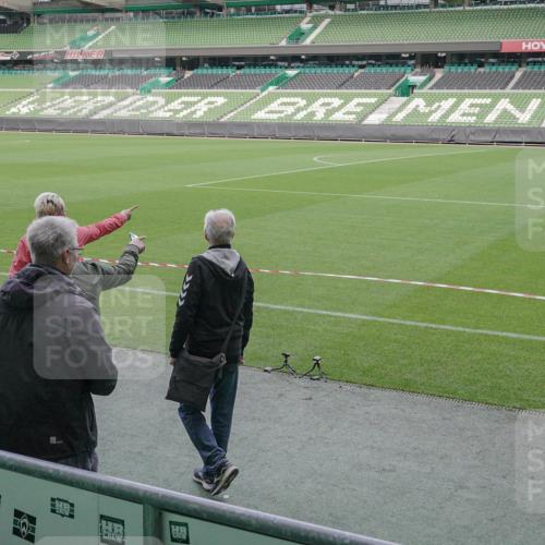 05.10.2025 - 20. swb-Marathon Bremen Michael Burmester http://msf.ph/oto/9261929 05.10.2025 11:04:32 Laufen im Stadion  meine-sportfotos.de