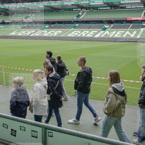 05.10.2025 - 20. swb-Marathon Bremen Michael Burmester http://msf.ph/oto/9262340 05.10.2025 11:29:15 Laufen im Stadion  meine-sportfotos.de