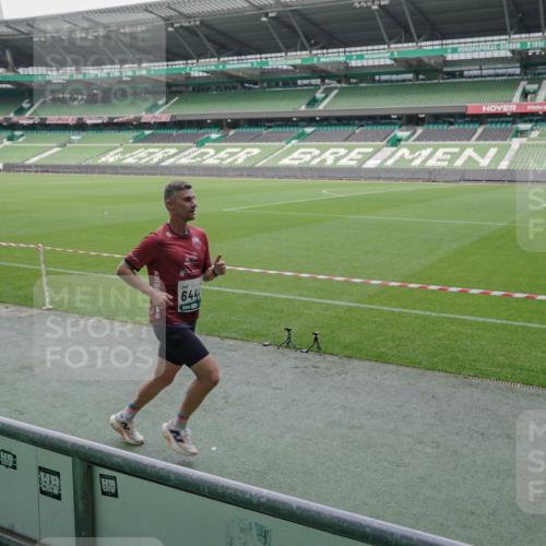 05.10.2025 - 20. swb-Marathon Bremen Michael Burmester http://msf.ph/oto/9269728 05.10.2025 12:39:55 Laufen im Stadion 133, 236, 241, 826, 1198, 1345, 1392, 1615, 1626, 1812, 1925, 2130, 4030, 4629, 5240, 5595, 6075, 6444, 7213, 7551, 7883, 8849, 685, 1329, 1352, 2940, 4807, 5074, 6541, 7999, 8341, 9082 meine-sportfotos.de