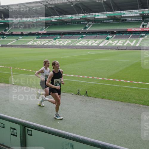 05.10.2025 - 20. swb-Marathon Bremen Michael Burmester http://msf.ph/oto/9273056 05.10.2025 12:47:54 Laufen im Stadion 344, 346, 391, 442, 564, 656, 770, 1205, 1370, 1526, 1607, 1642, 1646, 2241, 2360, 2472, 2482, 2613, 2643, 2656, 2872, 3061, 3768, 4215, 4255, 4291, 4313, 5264, 5656, 5831, 5918, 6804, 7070, 7170, 7176, 7492, 7735, 7831, 7900, 8013, 8729, 223, 265, 391, 502, 505, 545, 862, 1635, 2939, 4966, 4988, 6295 meine-sportfotos.de