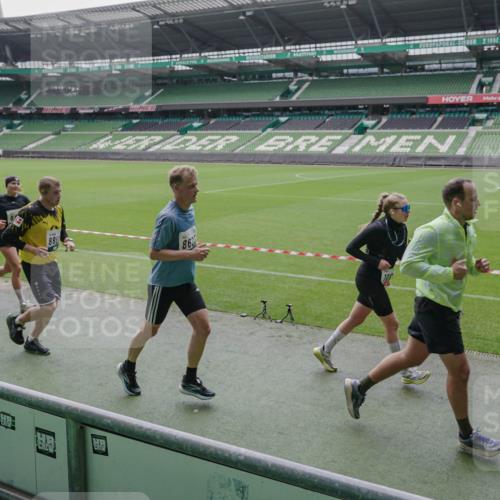 05.10.2025 - 20. swb-Marathon Bremen Michael Burmester http://msf.ph/oto/9279550 05.10.2025 13:01:15 Laufen im Stadion 52, 58, 72, 152, 156, 335, 440, 488, 546, 672, 979, 1082, 1182, 1238, 1273, 1423, 1893, 1968, 1973, 1996, 1998, 2096, 2102, 2196, 2235, 2330, 2369, 2433, 2446, 2565, 2661, 2668, 2706, 2712, 2806, 2822, 2918, 2995, 3209, 3360, 3387, 3604, 3662, 3663, 3877, 3979, 4128, 4216, 4263, 4329, 4618, 4788, 5011, 5048, 5080, 5121, 5150, 5183, 5272, 5329, 5414, 5663, 5727, 5752, 5836, 5841, 5985, 6057, 6082, 6440, 6523, 47, 283, 498, 575, 694, 1017, 1116, 2518, 2745, 2915 meine-sportfotos.de