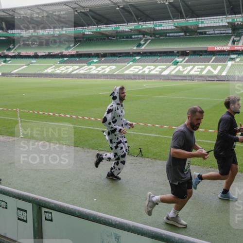 05.10.2025 - 20. swb-Marathon Bremen Michael Burmester http://msf.ph/oto/9281956 05.10.2025 13:05:40 Laufen im Stadion 190, 199, 406, 459, 520, 611, 678, 804, 817, 858, 924, 1023, 1147, 1154, 1228, 1283, 1404, 1410, 1455, 1480, 1545, 1610, 1702, 1840, 1867, 1990, 2058, 2187, 2190, 2198, 2199, 2285, 2422, 2437, 2604, 2671, 2698, 2748, 2785, 2902, 2935, 3025, 3049, 3317, 3368, 3378, 3380, 3445, 3450, 3479, 3799, 3809, 3837, 3853, 4055, 4207, 4326, 4332, 4376, 4563, 4641, 4643, 4665, 4676, 4766, 4831, 4855, 4892, 4904, 4983, 5166, 5176, 5362, 5382, 5614, 5824, 5904, 5945, 6283 meine-sportfotos.de