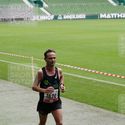 05.10.2025 - 20. swb-Marathon Bremen Michael Burmester http://msf.ph/oto/9323800 05.10.2025 12:10:41 Laufen im Stadion 50, 1620, 784 meine-sportfotos.de