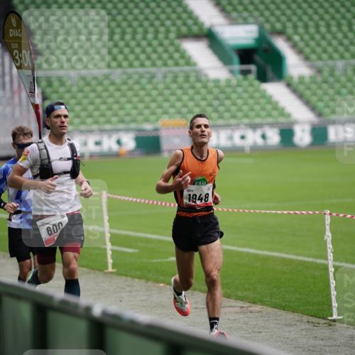 05.10.2025 - 20. swb-Marathon Bremen Michael Burmester http://msf.ph/oto/9323836 05.10.2025 12:12:54 Laufen im Stadion 529, 542, 600, 717, 1113, 1437, 1509, 1948, 2053, 2159, 2292 meine-sportfotos.de