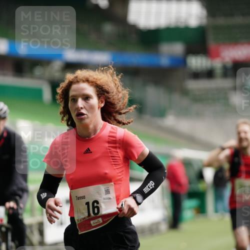 05.10.2025 - 20. swb-Marathon Bremen Michael Burmester http://msf.ph/oto/9324116 05.10.2025 12:22:36 Laufen im Stadion 4, 16, 456, 1024, 1351, 2138 meine-sportfotos.de