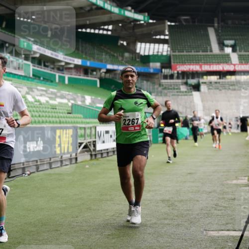 05.10.2025 - 20. swb-Marathon Bremen Michael Burmester http://msf.ph/oto/9324932 05.10.2025 12:33:09 Laufen im Stadion 121, 218, 363, 369, 650, 664, 746, 850, 908, 1372, 1494, 1617, 1889, 1913, 1928, 2000, 2033, 2267, 2682, 4251, 6957, 7259, 8582, 569, 1093, 1665 meine-sportfotos.de