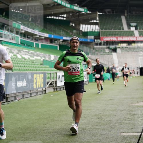05.10.2025 - 20. swb-Marathon Bremen Michael Burmester http://msf.ph/oto/9324934 05.10.2025 12:33:09 Laufen im Stadion 121, 218, 363, 369, 650, 664, 746, 850, 908, 1372, 1494, 1617, 1889, 1913, 1928, 2000, 2033, 2267, 2682, 4251, 6957, 7259, 8582, 569, 1093, 1665 meine-sportfotos.de