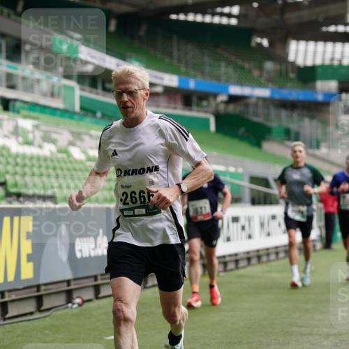 05.10.2025 - 20. swb-Marathon Bremen Michael Burmester http://msf.ph/oto/9325331 05.10.2025 12:44:51 Laufen im Stadion 109, 506, 539, 642, 657, 819, 917, 1055, 1631, 2013, 2092, 2188, 2666, 2719, 3150, 3218, 3219, 3251, 3327, 3342, 3982, 4358, 4422, 4571, 6302, 6633, 6996, 7099, 7525, 8169, 8351, 8382, 8828, 9130, 329, 548, 1196, 2092, 2249, 5908, 7373, 7949, 8030 meine-sportfotos.de