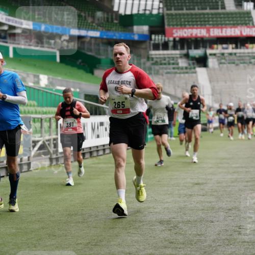05.10.2025 - 20. swb-Marathon Bremen Michael Burmester http://msf.ph/oto/9326069 05.10.2025 12:47:09 Laufen im Stadion 223, 265, 391, 442, 502, 505, 545, 609, 770, 818, 862, 891, 1246, 1521, 1635, 2613, 2939, 3054, 3084, 4758, 4848, 4966, 4988, 5656, 5831, 6295, 7070, 7170, 7583, 8013, 256, 281, 2163, 2228, 2276, 2585, 3381, 4274, 4617, 6849, 7675 meine-sportfotos.de