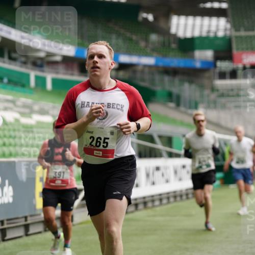 05.10.2025 - 20. swb-Marathon Bremen Michael Burmester http://msf.ph/oto/9326084 05.10.2025 12:47:10 Laufen im Stadion 223, 265, 391, 442, 502, 505, 545, 609, 770, 818, 862, 891, 1246, 1521, 1635, 2613, 2872, 2939, 3054, 3084, 4255, 4758, 4848, 4966, 4988, 5656, 5831, 6295, 7070, 7170, 7583, 8013, 256, 281, 2163, 2228, 2276, 2585, 3381, 4274, 4617, 6849, 7675 meine-sportfotos.de