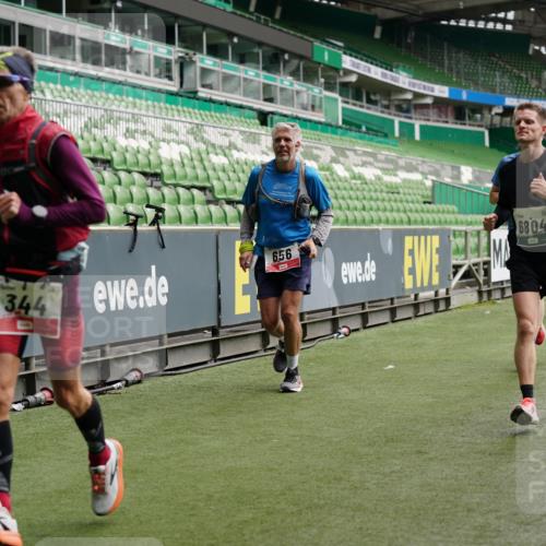 05.10.2025 - 20. swb-Marathon Bremen Michael Burmester http://msf.ph/oto/9326341 05.10.2025 12:47:39 Laufen im Stadion 223, 265, 344, 346, 391, 442, 505, 564, 656, 770, 1205, 1526, 1635, 1642, 1646, 2360, 2472, 2482, 2613, 2656, 2872, 2939, 3061, 4215, 4255, 4291, 4313, 4966, 4988, 5656, 5831, 6295, 6804, 7070, 7170, 7176, 7492, 7900, 8013, 502, 545, 609, 818, 862, 1521, 4848, 7583 meine-sportfotos.de