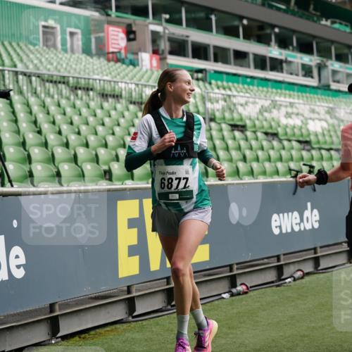 05.10.2025 - 20. swb-Marathon Bremen Michael Burmester http://msf.ph/oto/9326512 05.10.2025 12:49:15 Laufen im Stadion 150, 187, 270, 492, 1195, 1257, 1535, 1609, 1625, 1654, 1727, 1876, 1904, 2044, 2119, 2356, 2594, 2988, 2990, 3124, 3320, 3544, 3738, 3960, 4385, 5599, 6171, 6431, 6463, 6619, 6632, 6877, 7904, 8216, 8507, 8630, 8687, 8897, 9114, 1724, 2974, 3324, 3819, 4353, 5103, 5786, 6251, 8244, 8923, 8932 meine-sportfotos.de