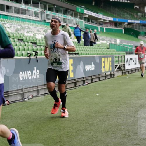 05.10.2025 - 20. swb-Marathon Bremen Michael Burmester http://msf.ph/oto/9327516 05.10.2025 12:51:27 Laufen im Stadion 334, 503, 601, 750, 754, 914, 1037, 1064, 1120, 1314, 1499, 1577, 1689, 1701, 1748, 1909, 1911, 1926, 2059, 2279, 2283, 2350, 2447, 2493, 2526, 3267, 3419, 3608, 3661, 4032, 4104, 4260, 4652, 4654, 4687, 4781, 5551, 5817, 5838, 5847, 5910, 6066, 6210, 6401, 6477, 6773, 6775, 7713, 7723, 8066, 8083, 8682, 8740, 8780, 8995, 122, 688, 745, 1033, 1044, 1166, 1450, 2381, 3291, 4366, 4962, 5184, 5418, 6252, 6681, 7493 meine-sportfotos.de