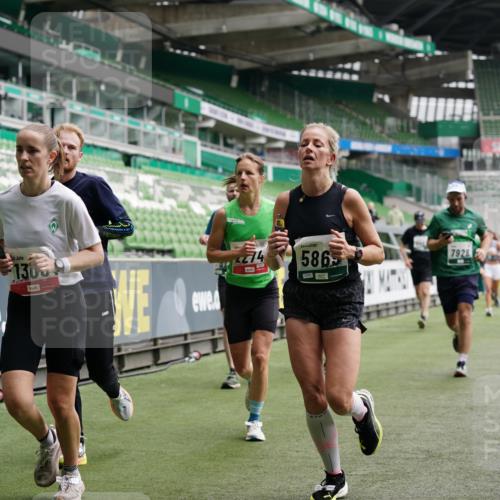 05.10.2025 - 20. swb-Marathon Bremen Michael Burmester http://msf.ph/oto/9329203 05.10.2025 12:54:36 Laufen im Stadion 53, 82, 104, 132, 169, 289, 319, 417, 504, 507, 524, 756, 944, 950, 1165, 1308, 1474, 1483, 1517, 1543, 1690, 1721, 1729, 1873, 1896, 1897, 1945, 1976, 2024, 2180, 2265, 2274, 2573, 2767, 2841, 3069, 3193, 3212, 3224, 3359, 3436, 3531, 3703, 3848, 3913, 4257, 4595, 4672, 4816, 4837, 4949, 4958, 5022, 5024, 5206, 5452, 5666, 5869, 5978, 6244, 6583, 6683, 6853, 7052, 7232, 7279, 7494, 7508, 7814, 7928, 7986, 8642, 8653, 8737, 89, 250, 368, 458, 1460, 1489 meine-sportfotos.de