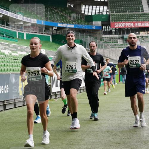 05.10.2025 - 20. swb-Marathon Bremen Michael Burmester http://msf.ph/oto/9329224 05.10.2025 12:58:33 Laufen im Stadion 90, 586, 726, 846, 963, 988, 1229, 1503, 1619, 1716, 2158, 2496, 2648, 2734, 2821, 2893, 2922, 3252, 3254, 3373, 3467, 3573, 3602, 3615, 3791, 4095, 4287, 4389, 4446, 4522, 4709, 4747, 4783, 5163, 5214, 5261, 5313, 5562, 5728, 5808, 5878, 5917, 6007, 6113, 6161, 6317, 6326, 6672, 6675, 6676, 6944, 6999, 7038, 7053, 7588, 7813, 7976, 8091, 8113, 8328, 8379, 8539, 8576, 8827, 8972, 9112, 9151, 415, 1491, 2234, 2240, 2304, 2662, 3977, 4102, 7731, 7911, 8128 meine-sportfotos.de