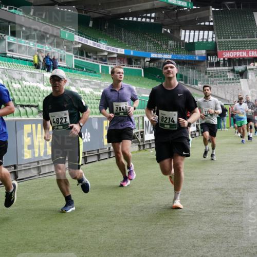 05.10.2025 - 20. swb-Marathon Bremen Michael Burmester http://msf.ph/oto/9329465 05.10.2025 12:59:07 Laufen im Stadion 27, 219, 586, 667, 726, 807, 988, 1043, 1229, 1503, 1516, 1598, 1619, 1711, 1716, 1843, 1854, 2496, 2663, 2797, 2922, 2941, 2945, 3141, 3252, 3254, 3467, 3615, 3747, 3791, 3888, 4095, 4113, 4395, 4486, 4522, 4783, 4827, 4909, 4967, 5123, 5261, 5510, 5530, 5584, 5722, 5808, 5878, 5891, 6007, 6030, 6113, 6374, 6561, 6624, 6672, 6882, 6944, 7038, 7169, 7185, 7201, 7262, 7311, 7312, 7467, 7511, 7550, 7929, 8097, 8214, 8247, 8355, 8485, 8539, 8972, 9024, 10526, 90, 846, 2158, 4446 meine-sportfotos.de