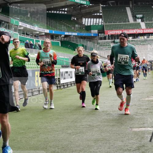 05.10.2025 - 20. swb-Marathon Bremen Michael Burmester http://msf.ph/oto/9330514 05.10.2025 13:00:36 Laufen im Stadion 47, 52, 72, 271, 283, 491, 498, 575, 627, 694, 860, 1017, 1116, 1182, 1423, 1471, 1606, 1806, 1968, 2007, 2446, 2504, 2518, 2609, 2668, 2745, 2806, 2822, 2915, 3040, 3104, 3160, 3169, 3177, 3230, 3237, 3293, 3360, 3549, 3604, 3605, 3979, 4034, 4035, 4046, 4181, 4202, 4216, 4502, 4592, 4661, 4788, 4824, 4879, 5011, 5183, 5272, 5329, 5610, 5627, 5663, 5836, 5841, 6027, 6057, 6126, 6208, 6389, 6440, 6523, 6536, 6636, 6674, 6704, 6762, 6881, 7307, 7537, 7598 meine-sportfotos.de